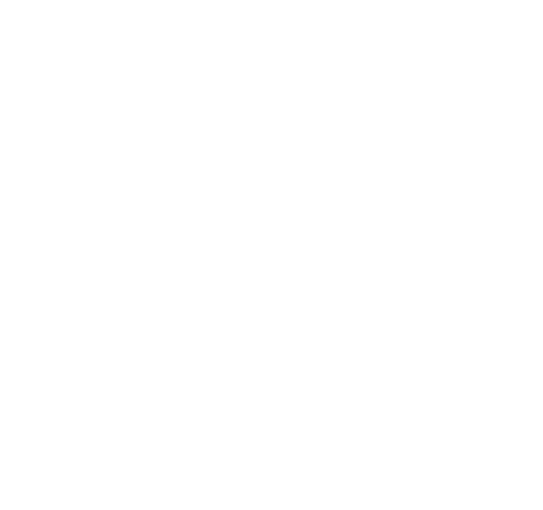 thefrenchparrot